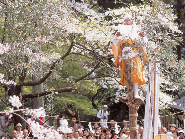 日向薬師（日向山 宝城坊）例大祭【伊勢原市】